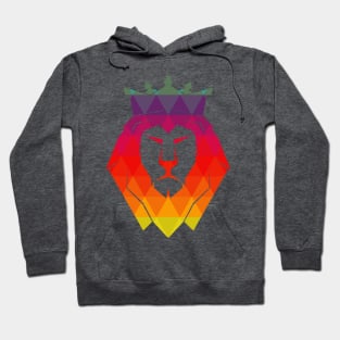 Lion printed design Hoodie